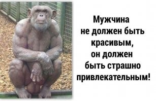 Почему некоторым мужчинам лучше не сбривать бороду
