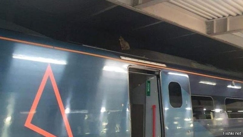 Он