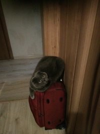 правда не возьмешь?