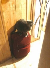 Смешные и познавательные картинки