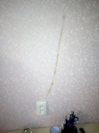 Кстати, привет всем "хозяевам", которые делают капитальный ремонт и не меняют эл. проводку : " зачем, она ведь работает".
Просто любая проводка имеет свой срок годности. А про современные нагрузки на эл. проводку, я вообще молчу.