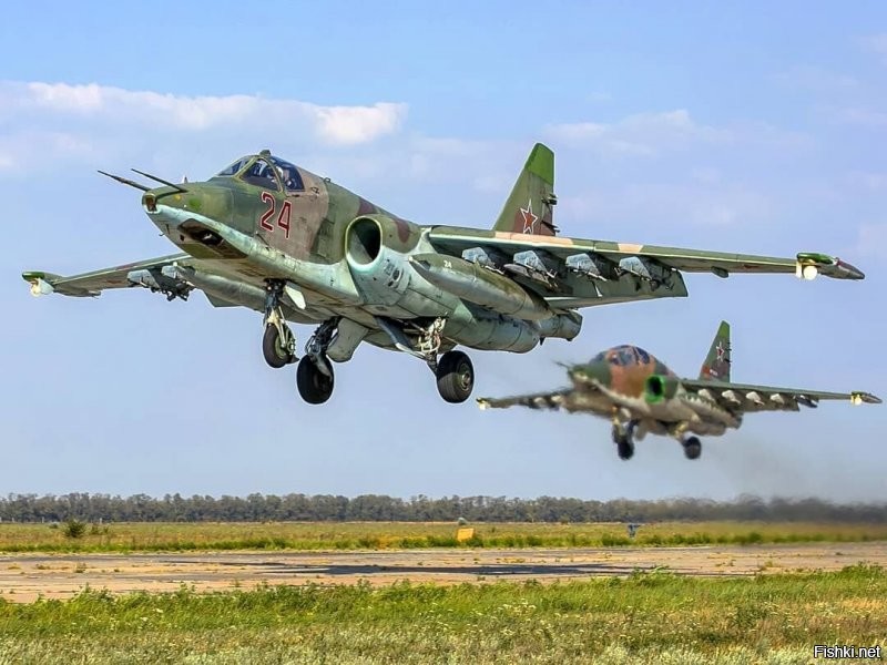 Вот грачи.