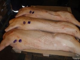 Лично я, однозначно, за татуировки. Раньше чтоб понять, что человек дебил, нужно было потратить на него время, пообщаться с ним. А татуировку видно сразу и издалека.