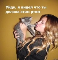 "К черту твои селфи!": 22 фото о том, как коты не любят фоткаться