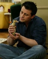 Фанат "Друзей" детектед!