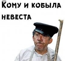 Мужчина  устроил пышный день рождения для своей лошади