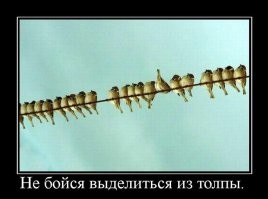 Смешные и познавательные картинки