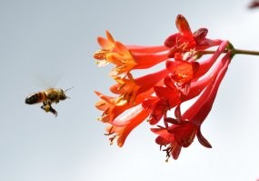 Тоже макро люблю снимать