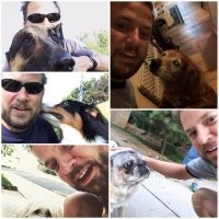 Пара занятных:




Остальное – тупейшая дичь...