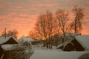 А если неохота выходить, то смотрю в окно.