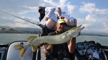 Веселые  картинки