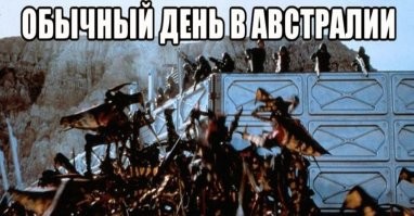 Винегрет демотивации