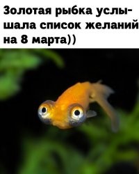 В честь 8 марта