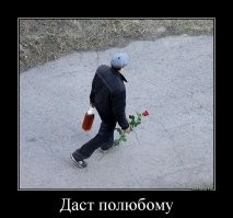 Смешные и познавательные картинки