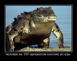 Винегрет демотивации