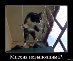 Фотоподборка