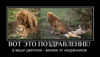 Смешные и познавательные картинки