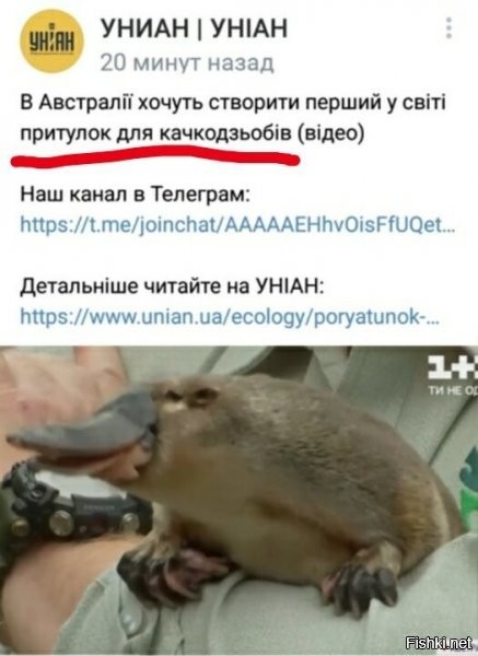 не, ну реально ж прикольно :) есть и позитив, жалко, что на фоне всего того, что есть, такие прикольные мелочи даже не замечаются