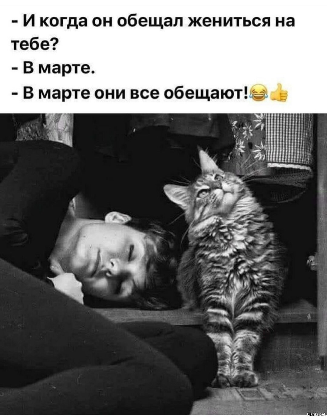 Ты обещал жениться опер читать. Март кошачий месяц. Март кошачий месяц картинки