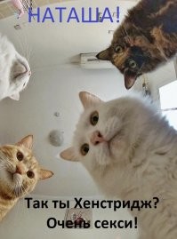 Как эротический триллер 90-х годов породил миф о чупакабре