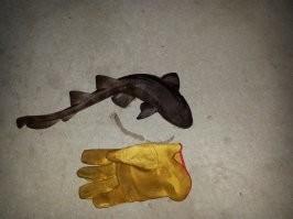 Вот пару моих: