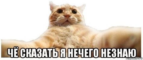 Смешные и познавательные картинки