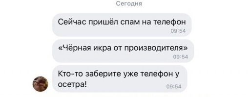 Убойные СМС-переписки, которые поднимут вам настроение
