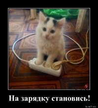 Винегрет демотивации