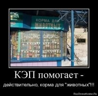 Сделано в России: заводы, открытые в стране за последнее время