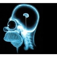 Иногда мне авторы подобного "креатива" напоминают чем-то Гомера Симпсона.