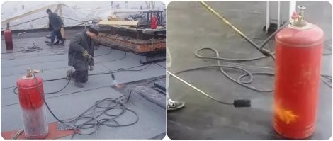 Смешные и познавательные картинки