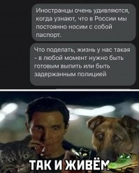 Скрины из соцсетей