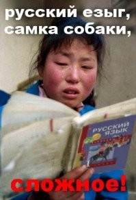 Смешные и познавательные картинки