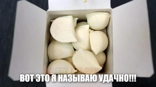 Смешные и познавательные картинки