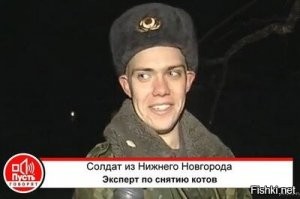 Как достать кота