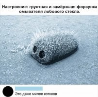 Смешные и познавательные картинки