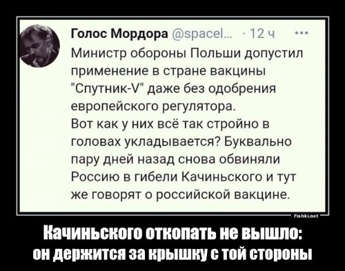 О политике и не только