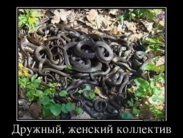 Скрины из соцсетей