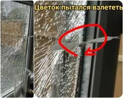 15 человек, которых жизнь научила, что загад не бывает богат