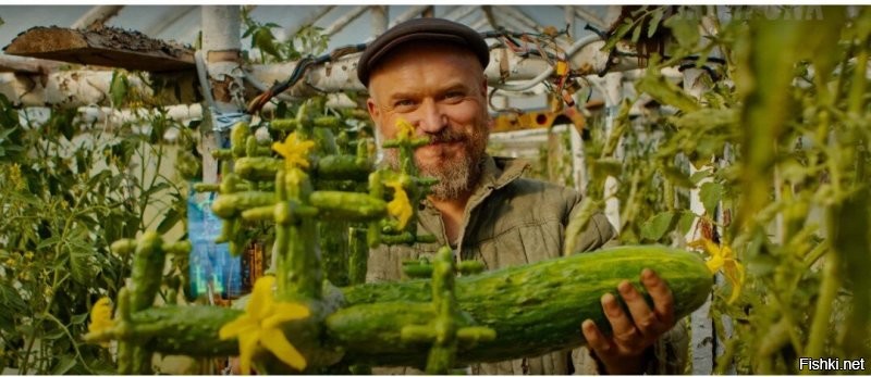 Смешные и познавательные картинки