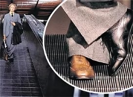 Смешные и познавательные картинки