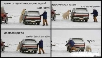 В Румынии медведь устроил погоню за горнолыжником