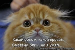 Честно сказать, кулинар вы так себе