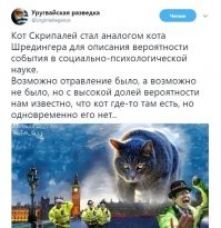 ...... анонимный коллекционер , говорите ? 
Хайли лайкли , я даже знаю кто и для кого купил !
За котика скрипалей , ещё ответите !