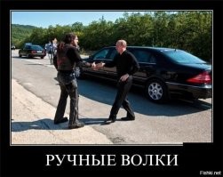 Дорогу байкерам: улицы Флориды заполонили 300 тысяч мотоциклистов