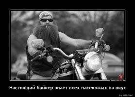 Дорогу байкерам: улицы Флориды заполонили 300 тысяч мотоциклистов