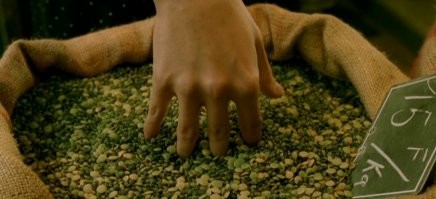 Смешные и познавательные картинки