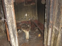 Спорная конечно достопримечательность, но поверьте в Петербурге есть поистине грандиозные сортиры. Ресторан "лесной" построен на месте общественной уборной и использует советские коммуникации (та еще кавказо азиатская недопафосная тошниловка).  А на фото сортир (уже отреставрирован) из МПК Сестрорецкий Рубеж.