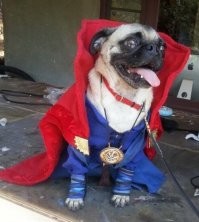 Стрэндж, Мопс Стрендж