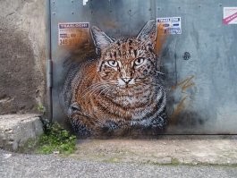 А это не детские: